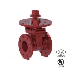 NRS GATE VALVE FGN909-300