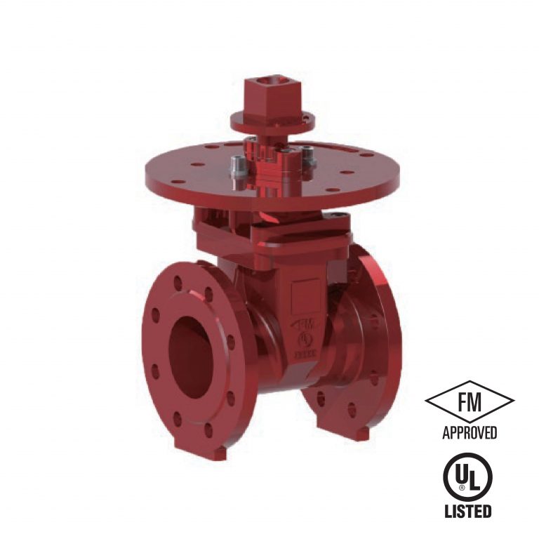 NRS GATE VALVE FGN909-300