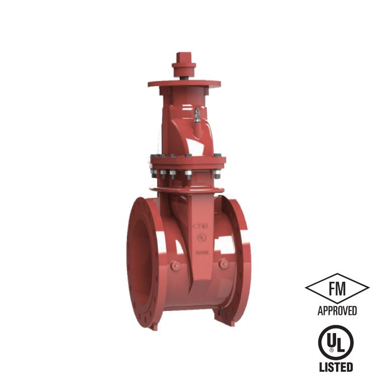 NRS GATE VALVE  FGN909-250
