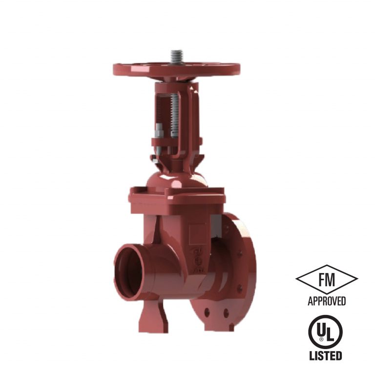 OS&Y GATE VALVE FGO138-300