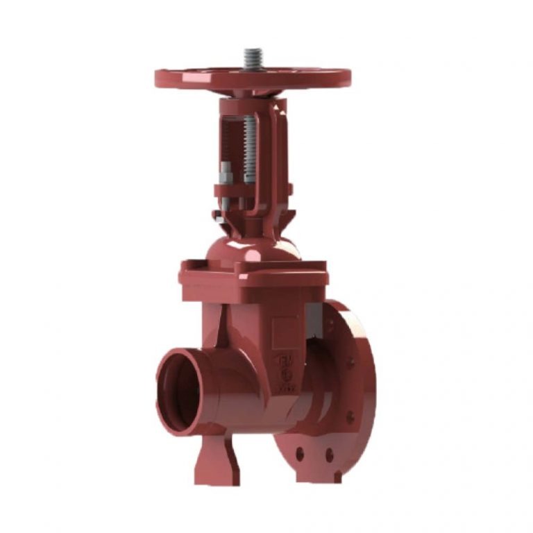 OS&Y GATE VALVE FGO138-300